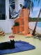 kattenpension en vacances beleef het mee