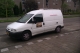 only dogs uitlaatservice zoetermeer en omgeving.