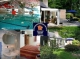 zeer luxe bungalow, yacuzzi, whirplool, sauna, zonnebank