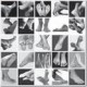 pedicure & nagelstyliste