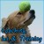 hondenschool alleshond in barneveld