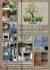 steigerhouten meubelen voor indoor & outdoor 