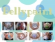 bellypaint (buikschildering)