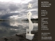 surrealistische sculpturen rusland.